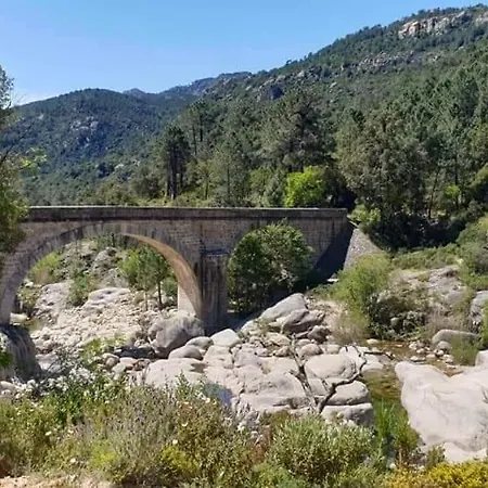 Murta Conca
